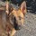 sue_mattson19