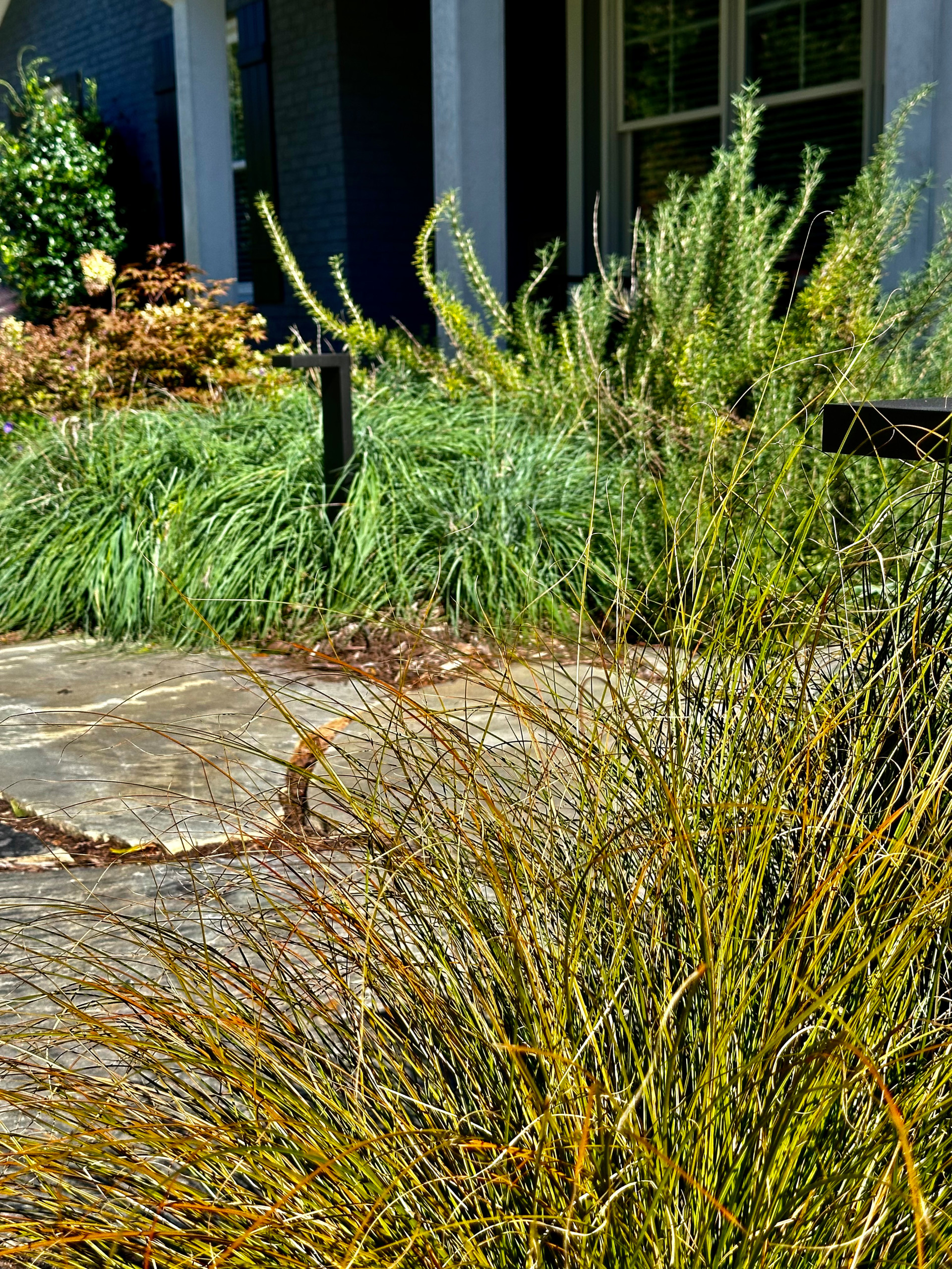 Concrete Sidewalk Becomes A Stroll Garden