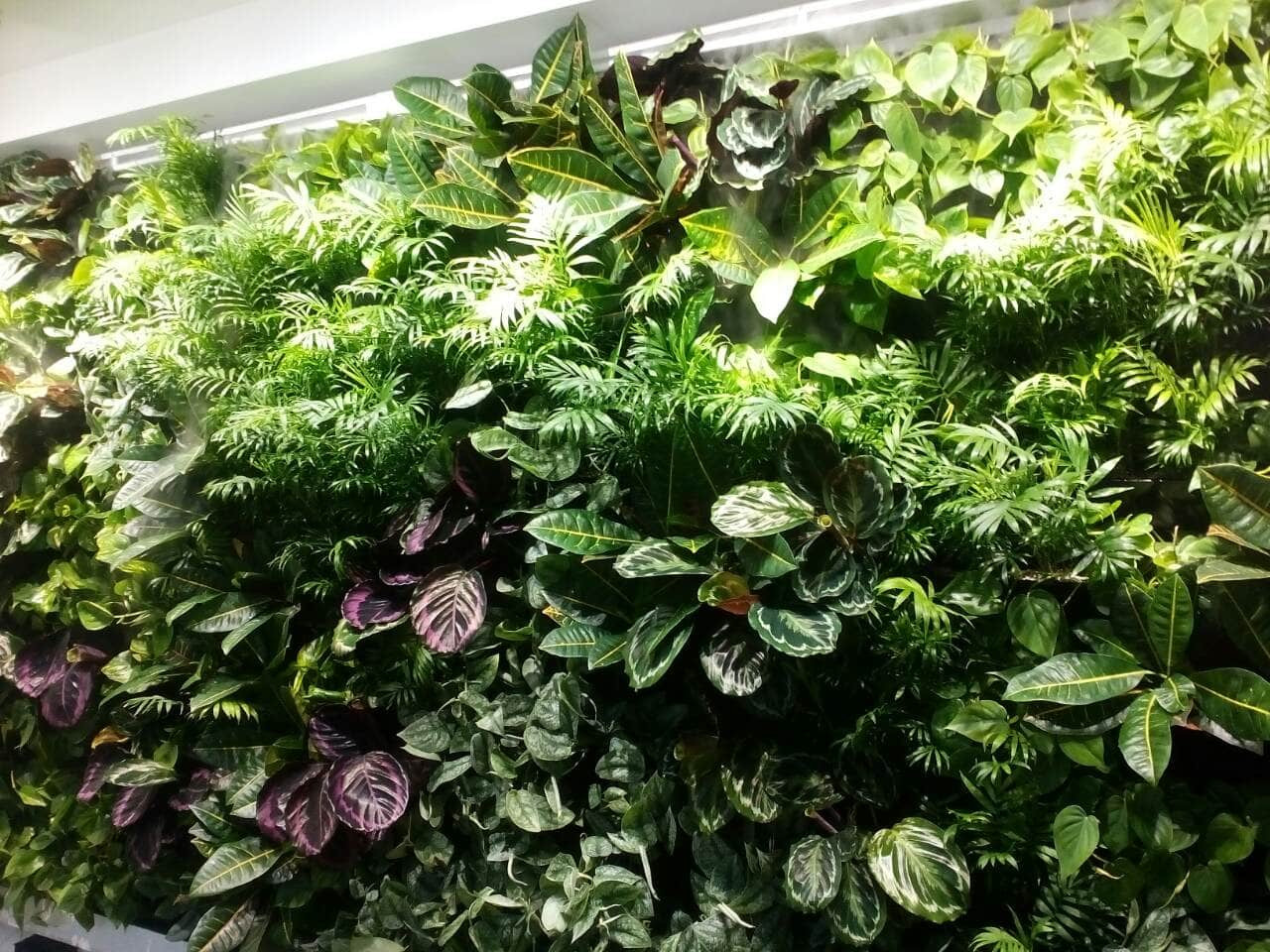 Частный 3-х этажный дом