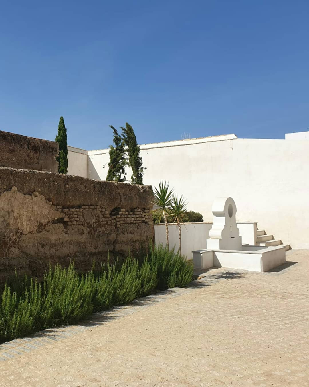 REHABILITACIÓN Y RESTAURACIÓN STA MARÍA DE LA ASUNCIÓN