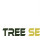 Plano Emergency Tree Service Trimming & Removal