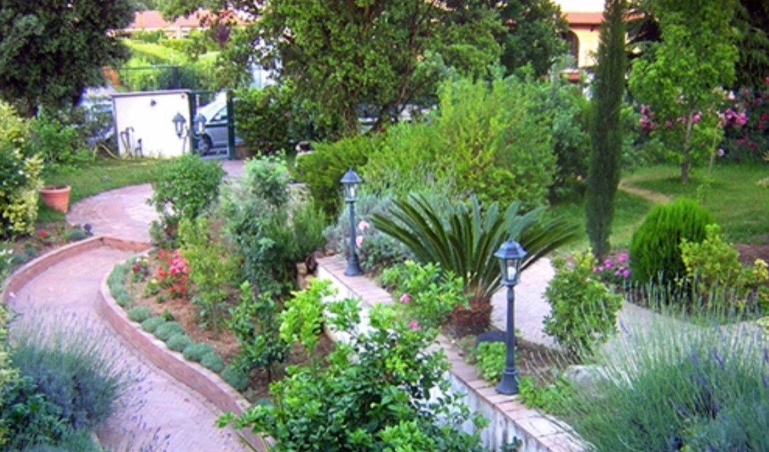 IMG_8457.PNG