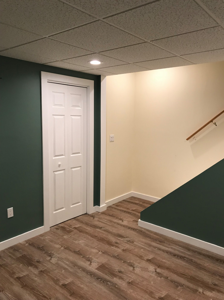 Inspiration for a transitional basement remodel in New York