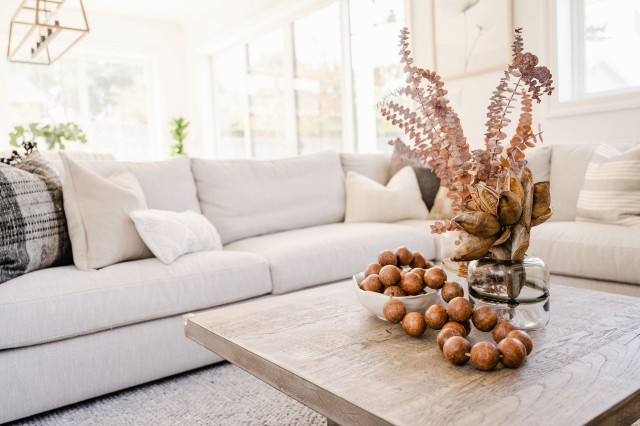 Willow Glen Modern minimalistisch-wohnbereich