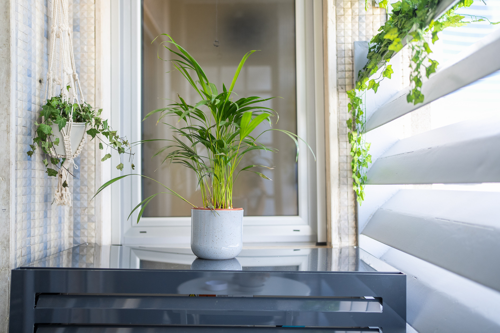 B&B Bosco Verticale
