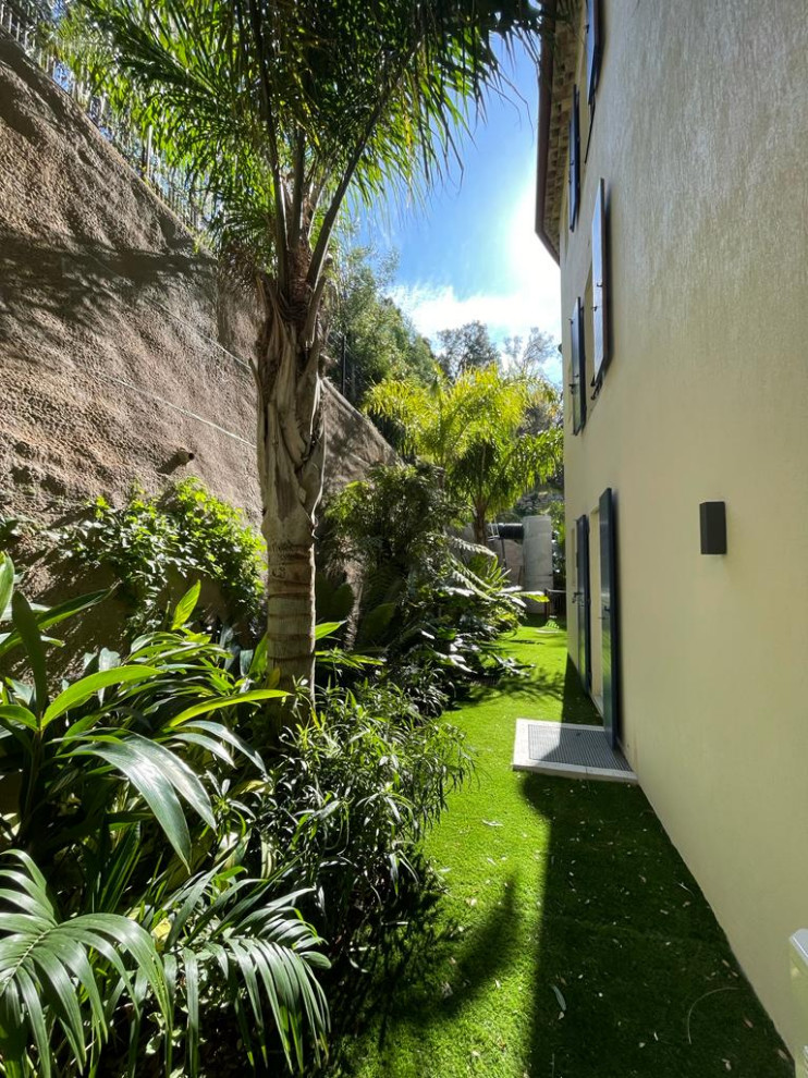 Esempio di un giardino tropicale di medie dimensioni e in cortile