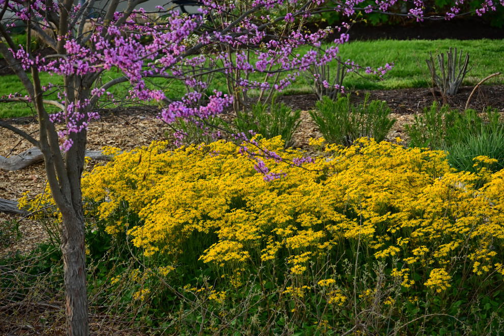 Pollinator garden with native plants and custom stone hardscapes