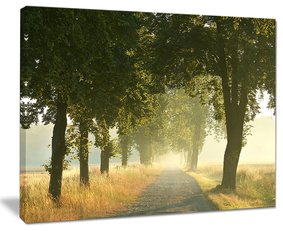 "Rural Road Under Big Green Trees" Canvas Print, 20"x12" Contemporary