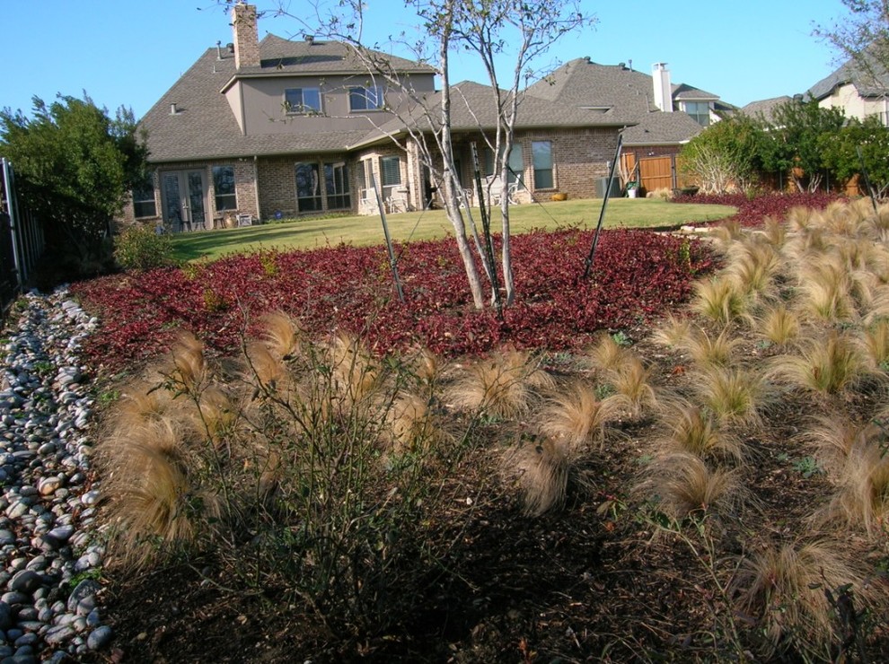 Design ideas for an expansive modern sloped full sun xeriscape for winter in Dallas.