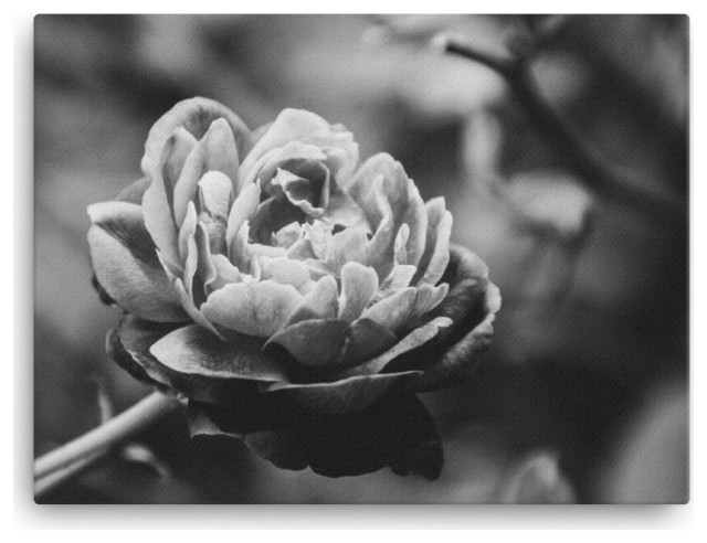 Perfect Petals High Contrast Black and White Canvas Wall Art Print, 18" X 24"
