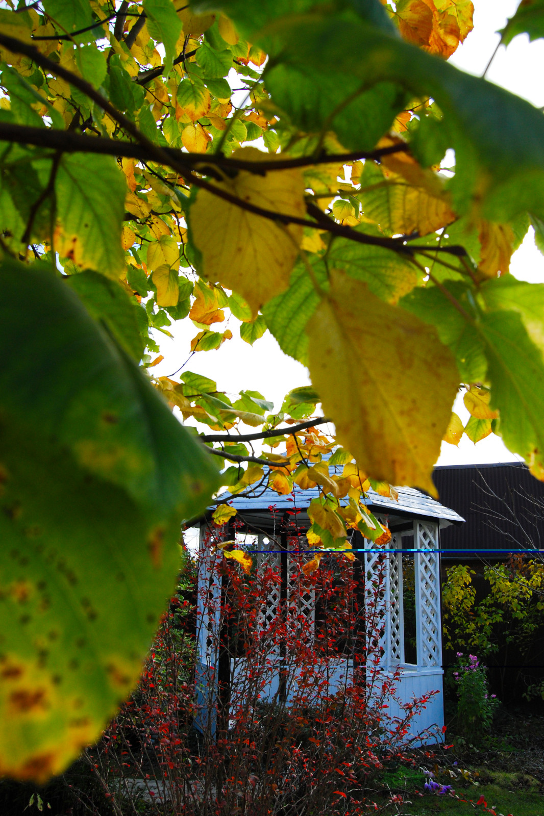 Декор в саду. Наши работы прошлых лет.