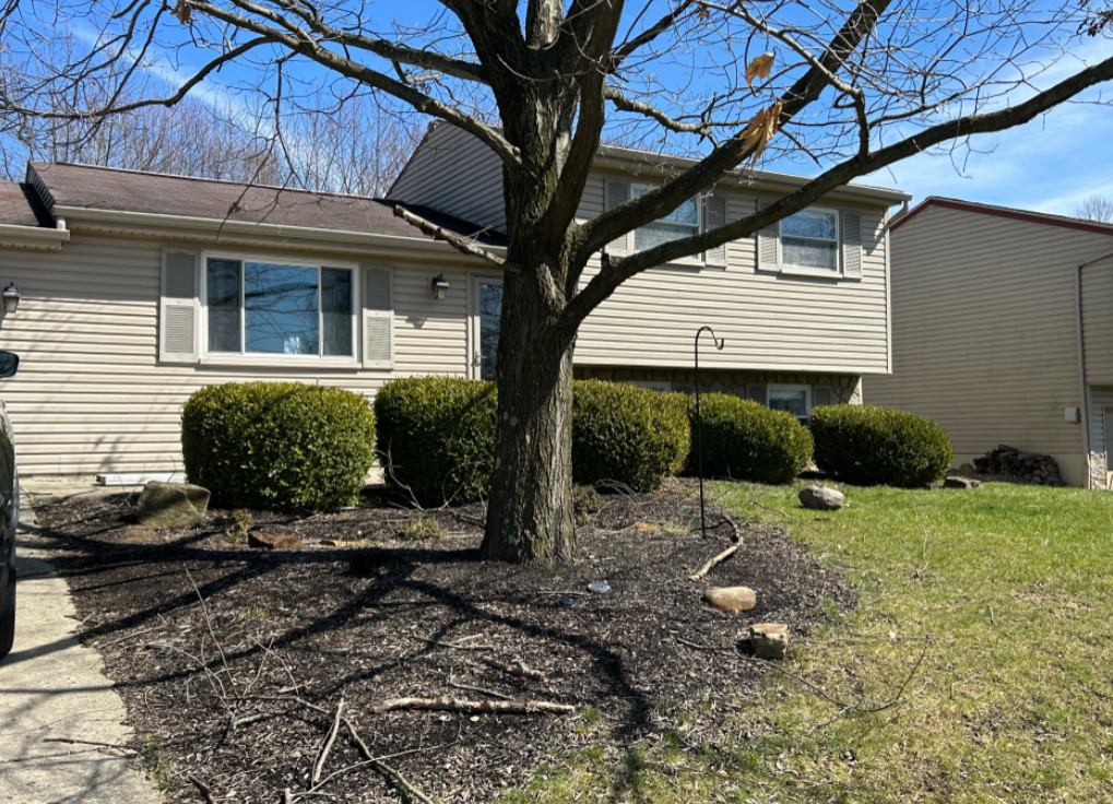 Creating Curb Appeal