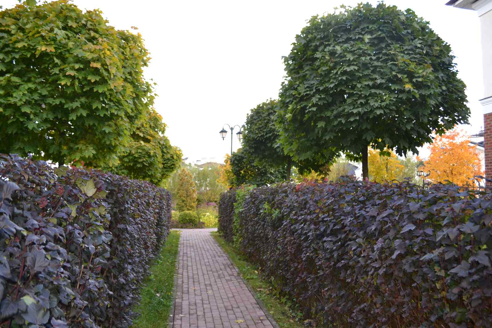 Жилищный комплекс "Суханово-Парк"