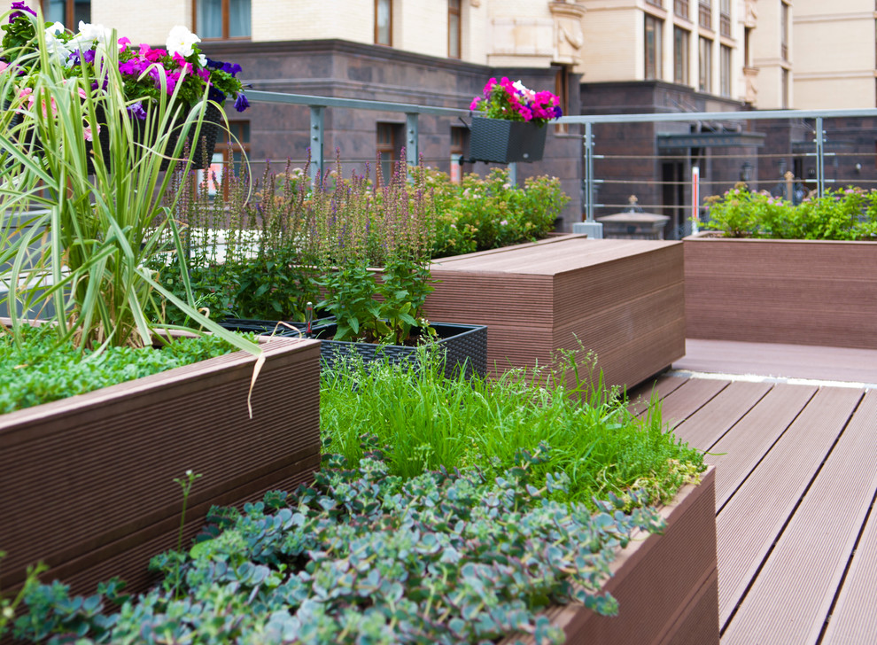 Геометрия в саду