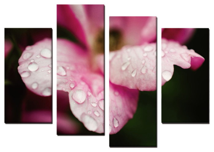 Raindrops On Wild Rose 4 Piece Panels Canvas Prints Wall Art Symmetrical Contemporary Prints And Posters By Pi Photography Wall Art Fine Art