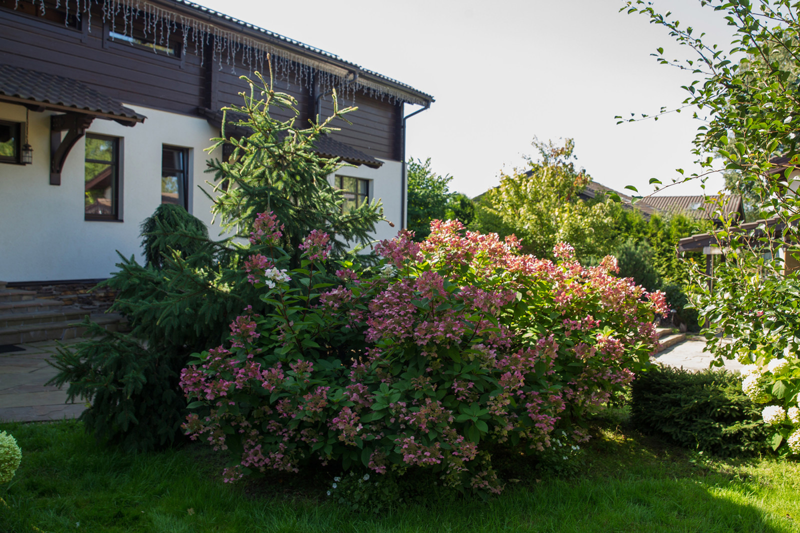 Garden of Elena Astashkina in Moscow Region