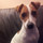 laetitia_broca