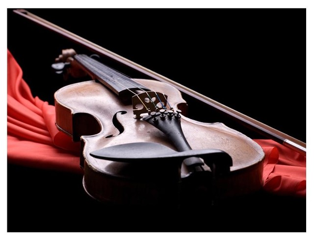Sombre Violin Wallpaper Mural, 300x231 cm