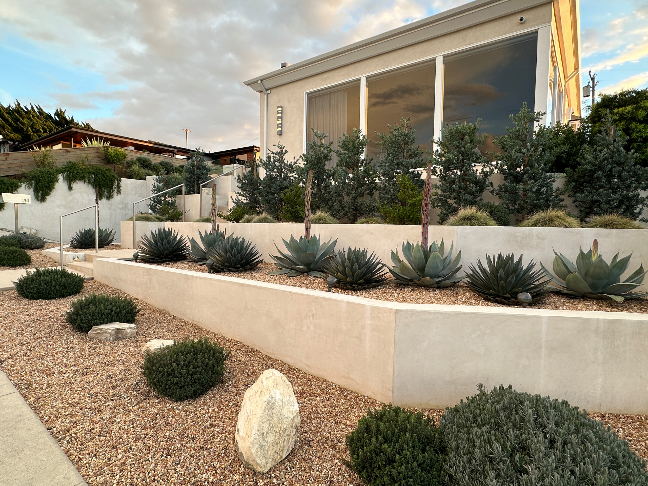 Ocean View Modern Front Yard Landscape