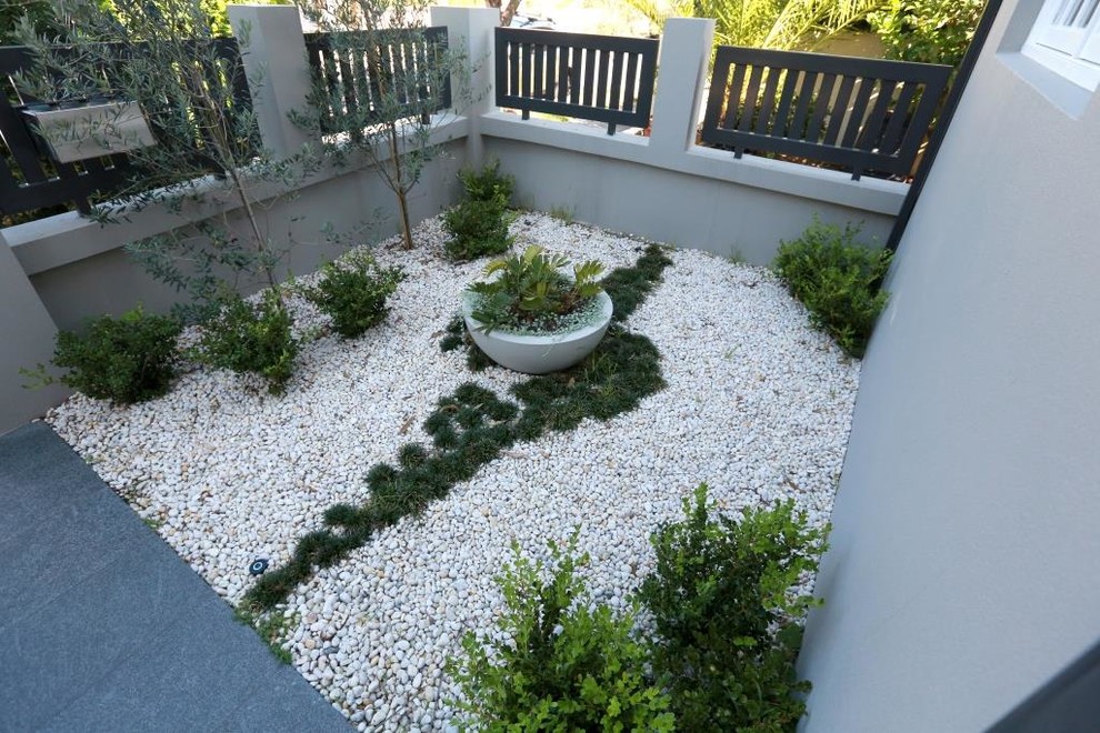 Design ideas for a transitional front yard garden in Sydney with a garden path and gravel.