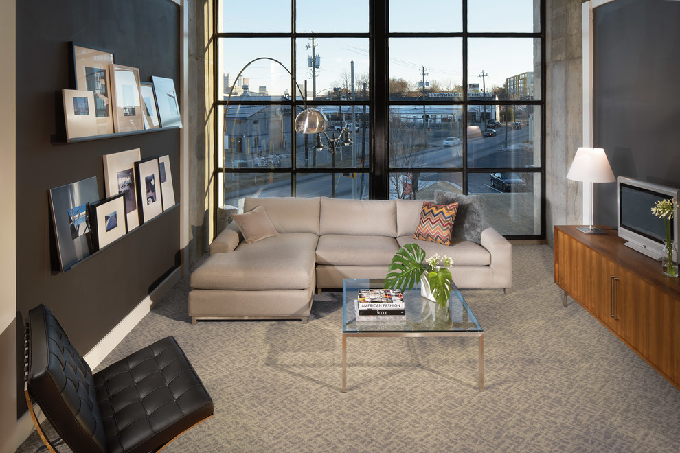 Inspiration for a small modern enclosed carpeted living room remodel in San Diego with brown walls and a tv stand