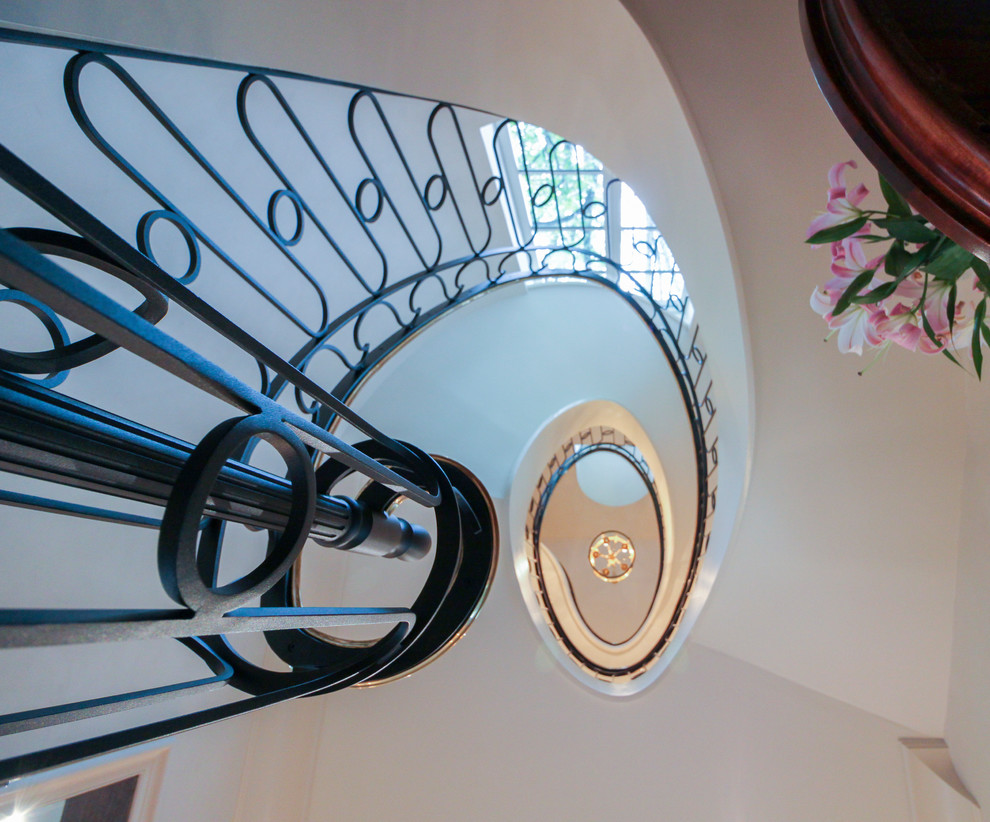 Large transitional wooden curved metal railing staircase photo in DC Metro with wooden risers