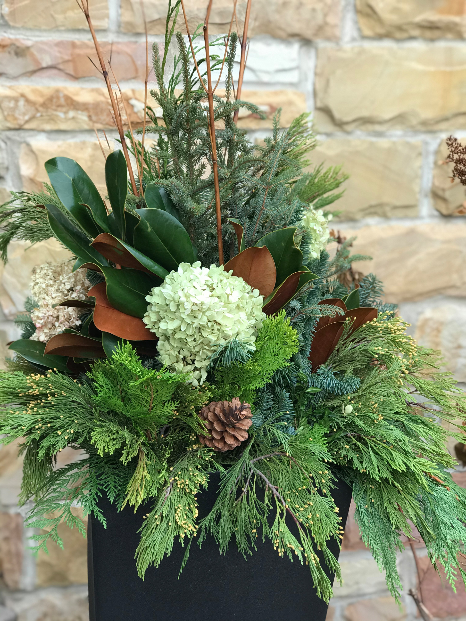 Winter containers and Holiday Decorations