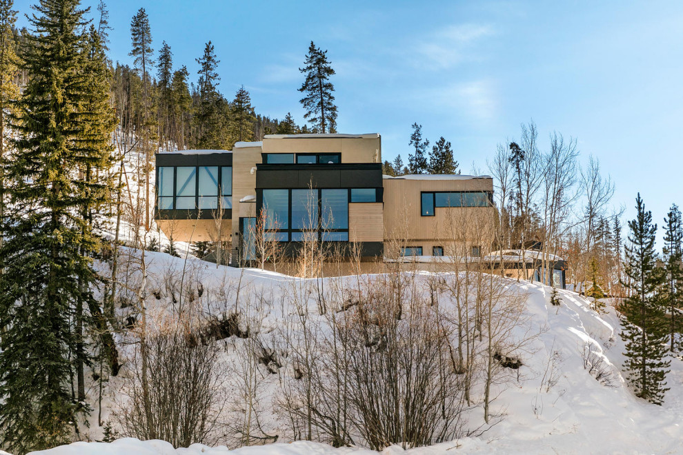 Home design - rustic home design idea in Denver