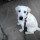 michael_carlson53