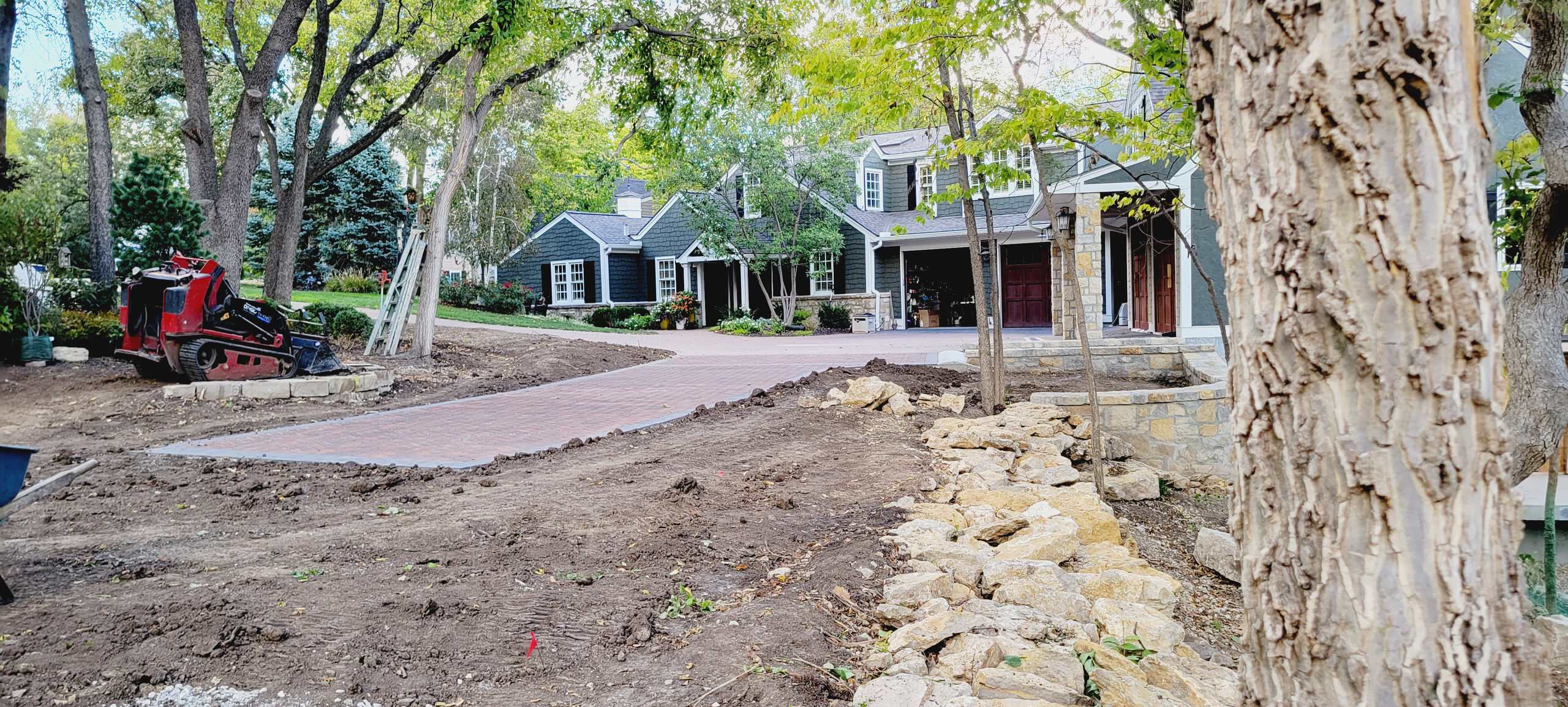 Woodland Restoration