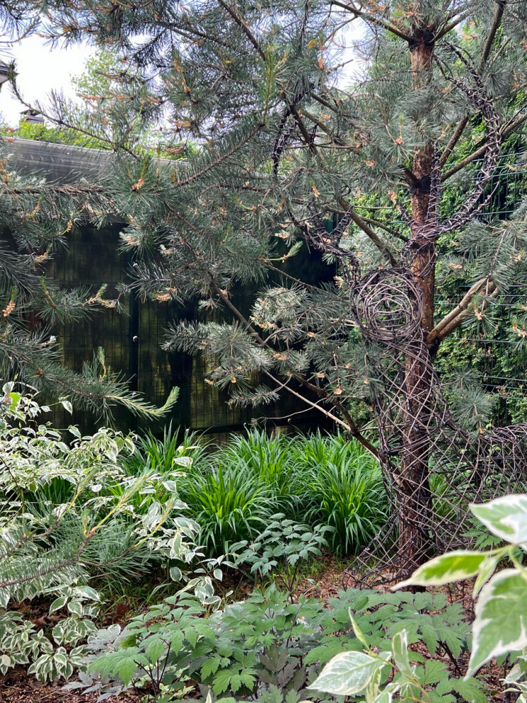 Английская история