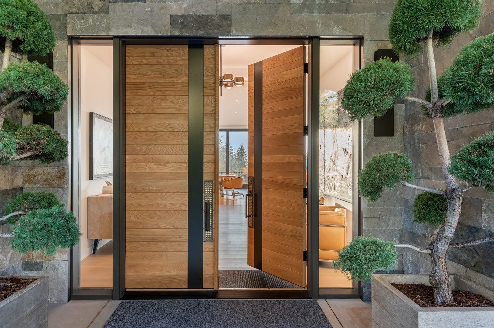 Design ideas for a contemporary entryway in Denver.