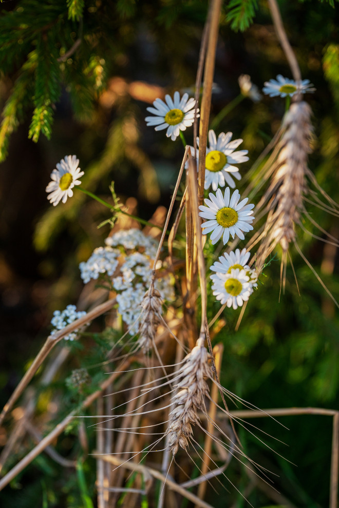 Фотосъемка Выставочного Сада на САДЫ и  ЛЮДИ   2019   -  Сад Наследие . ГРАН-ПРИ