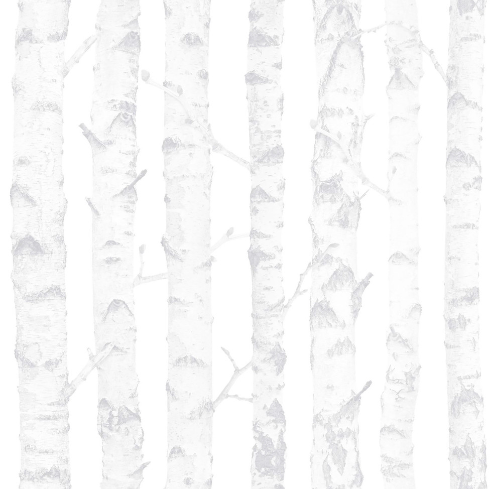 Birdie Grey Birch Wallpaper, Swatch