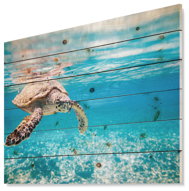 Designart Large Hawksbill Sea Turtle Abstract Wood Wall Art Beach Style Prints And Posters By - Sea Turtle Wood Slat Wall Art Designart Large Hawksbill Sea Turtle Abstract Wood Wall Art Beach Style Prints And Posters By - Sea Turtle Wood Slat Wall Art