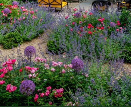 Residential Landscape Designs