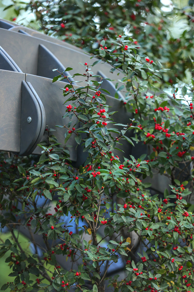 Сад "ГИПНОС" - ГРАН-ПРИ фестиваля "Сады и Люди"-2022