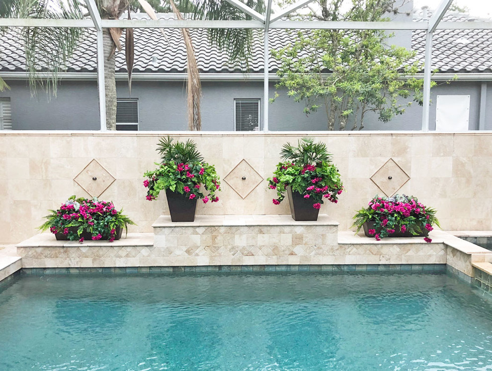 Design ideas for a tropical pool in Tampa.