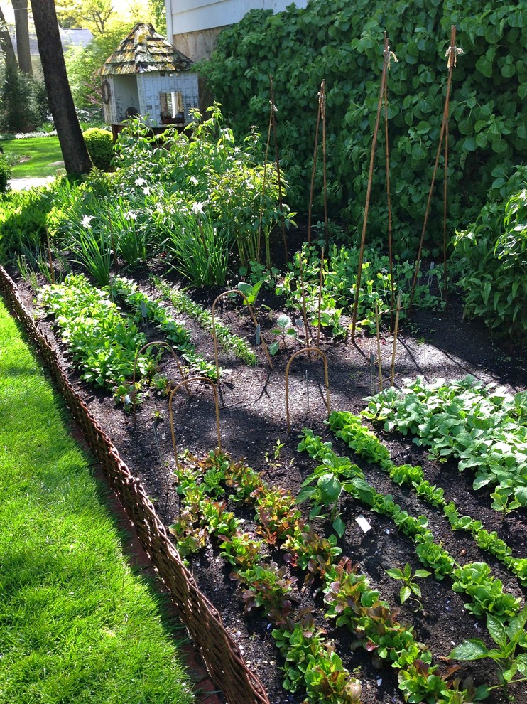 This is an example of a large transitional backyard shaded garden in New York with a vegetable garden and mulch.