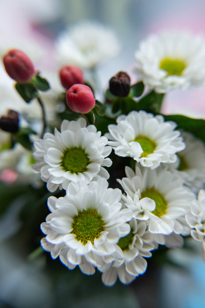 Дизайн штор. Ресторан «КультуRa»