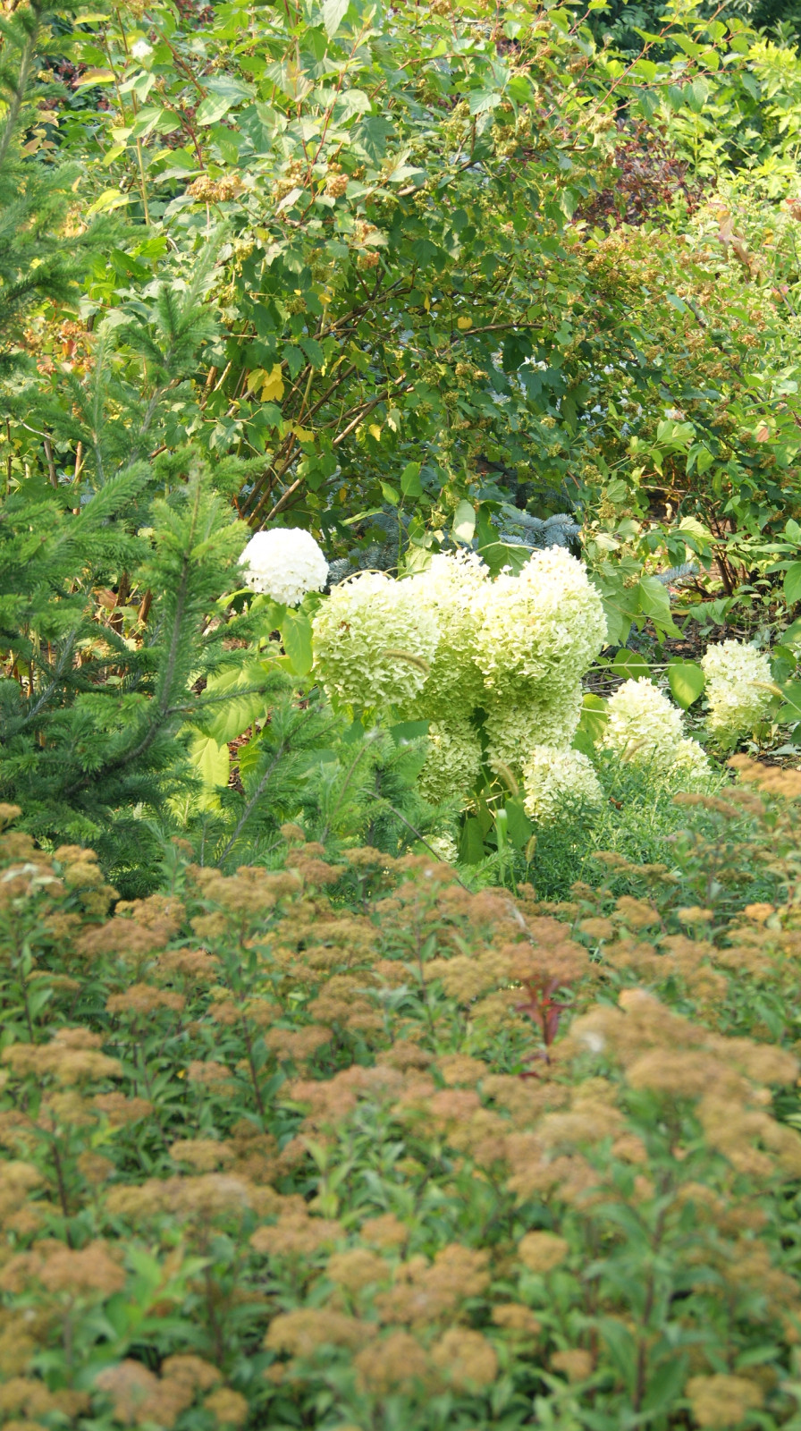 Скандинавские мотивы