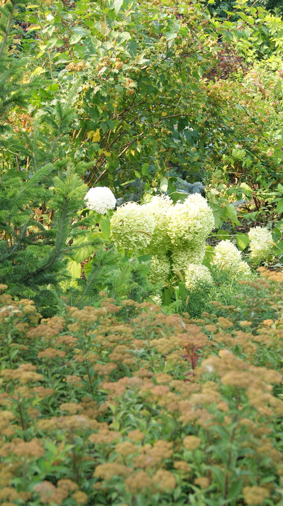 Скандинавские мотивы