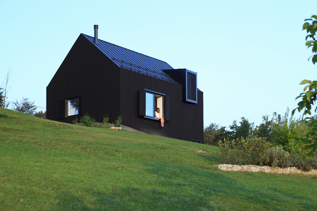 Black lodge and a walnut tree contemporary-exterior