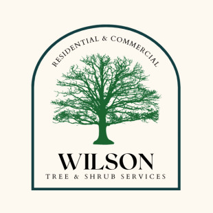WILSON TREE & SHRUB SERVICES - Project Photos & Reviews - Lynn, MA US ...