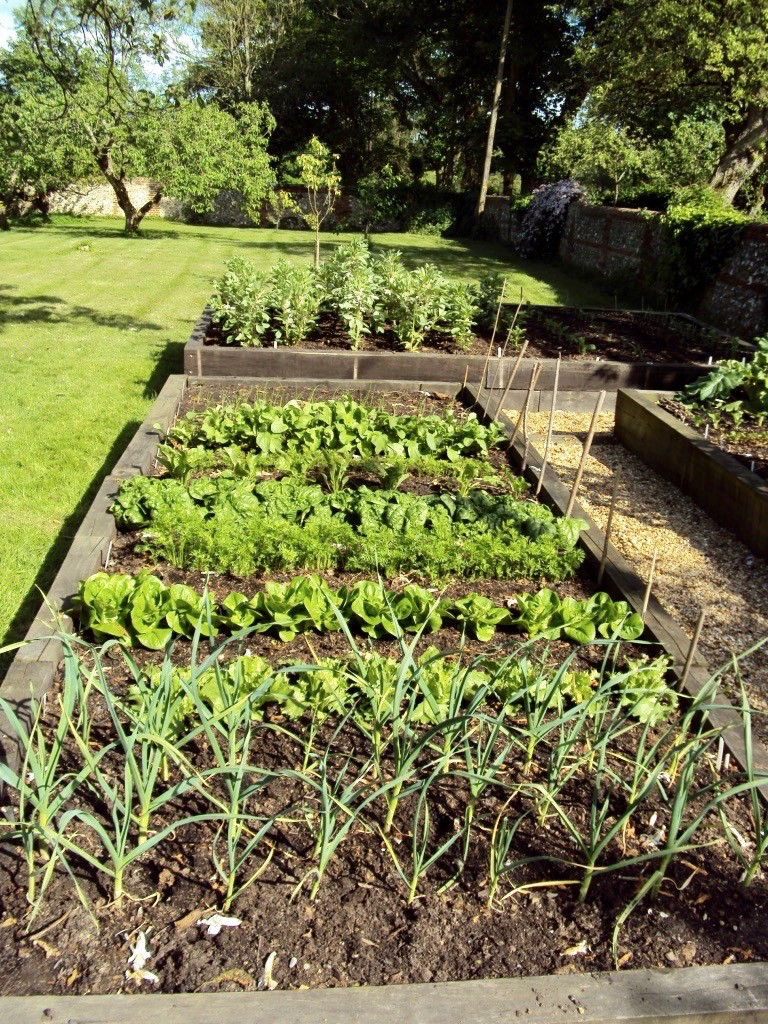 Vegetable Patches
