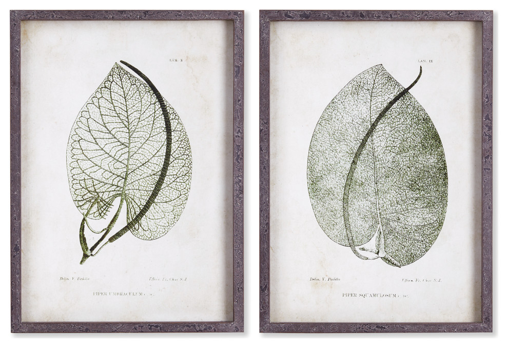 Cordate Leaf Study, Set of 2