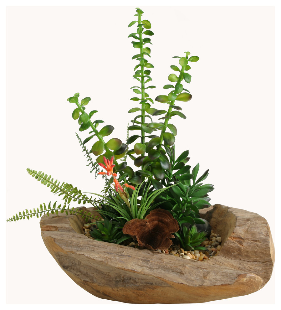 D&W Silks Fern, Money Plant, Blooming Succulent and Alow in Wooden Bowl