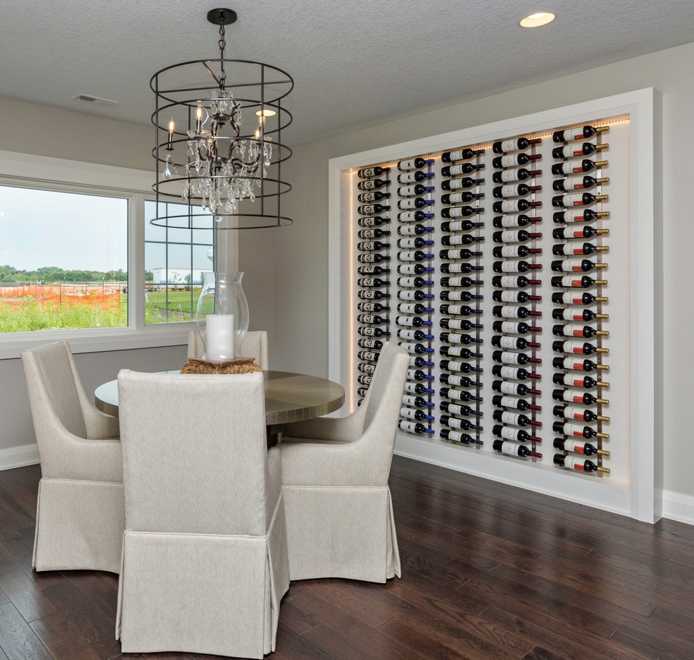 Design ideas for a mid-sized transitional wine cellar in Other with dark hardwood floors and display racks.