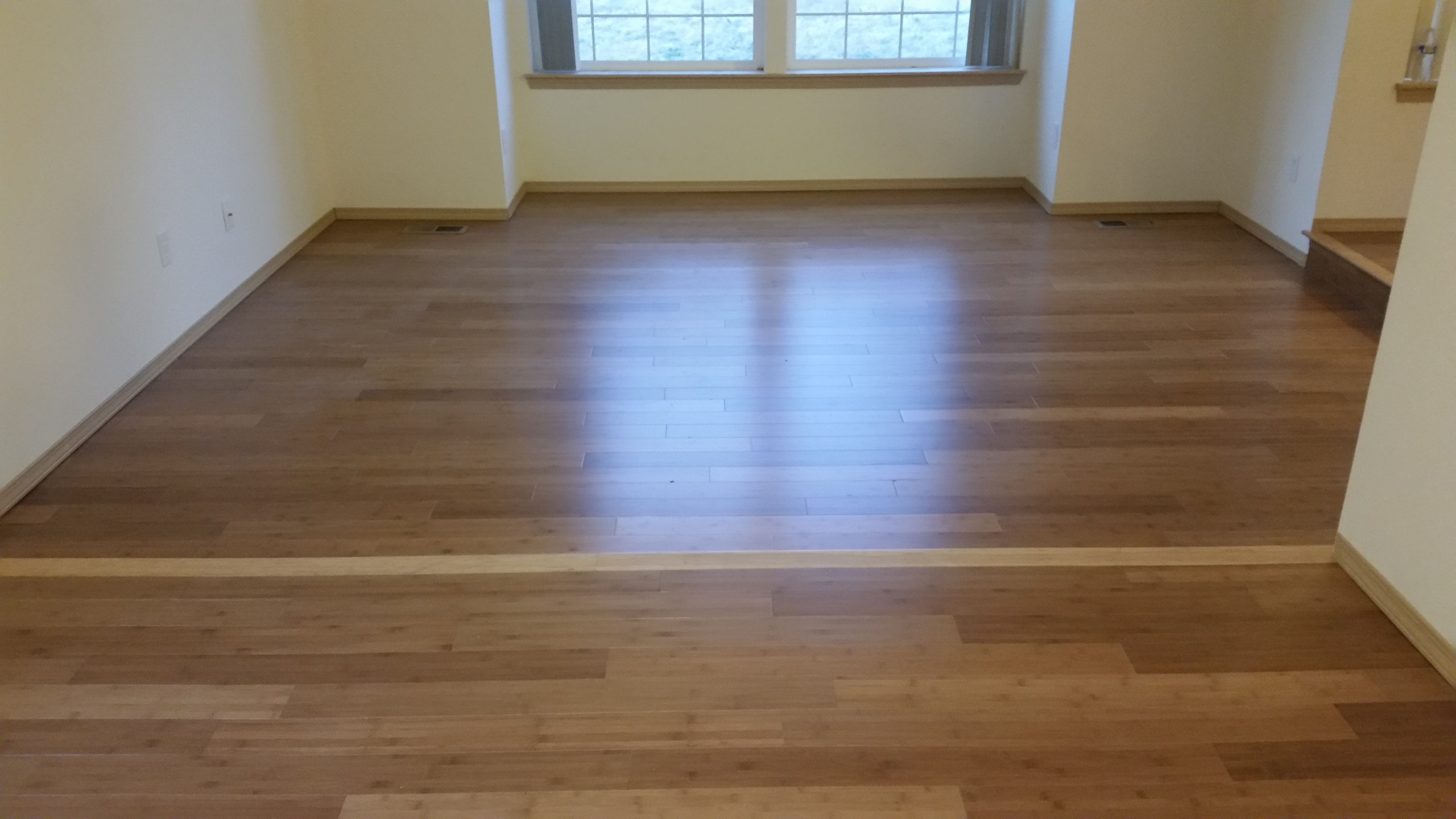 Bamboo for a Rental