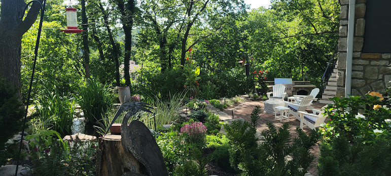 Woodland Restoration